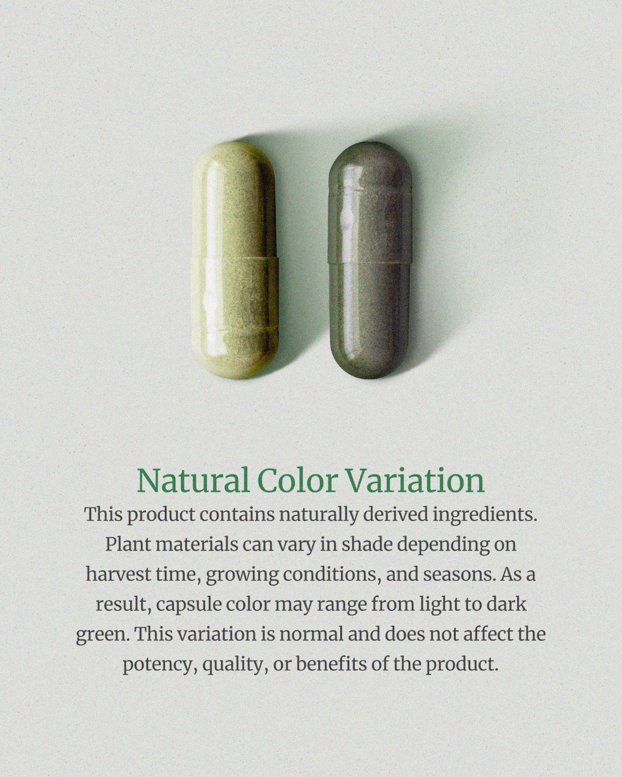 Body Magic Chlorophyll Pill
