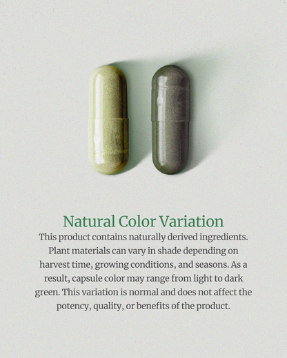 Body Magic Chlorophyll Pill